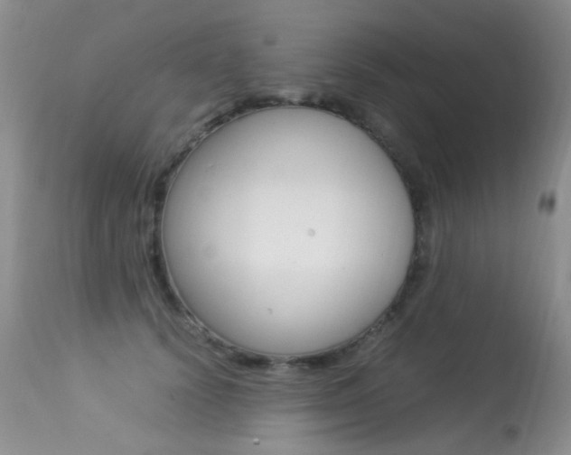 X0000113290656200909141006