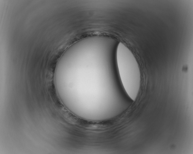 X0000113290657200909141006