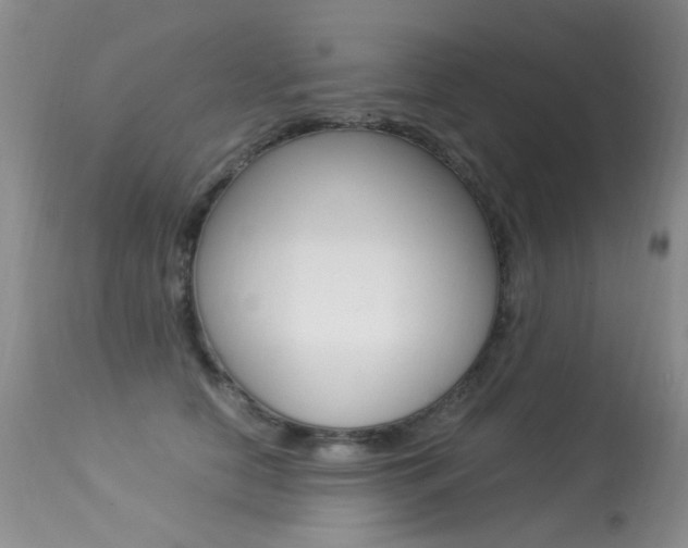 X0000113290658200909141006