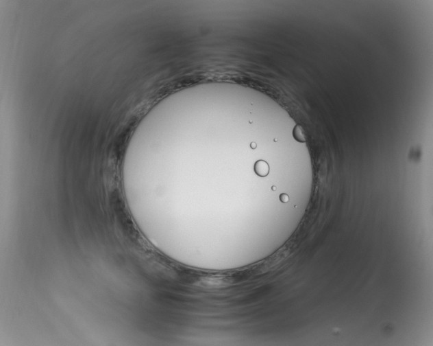 X0000113290659200909141006