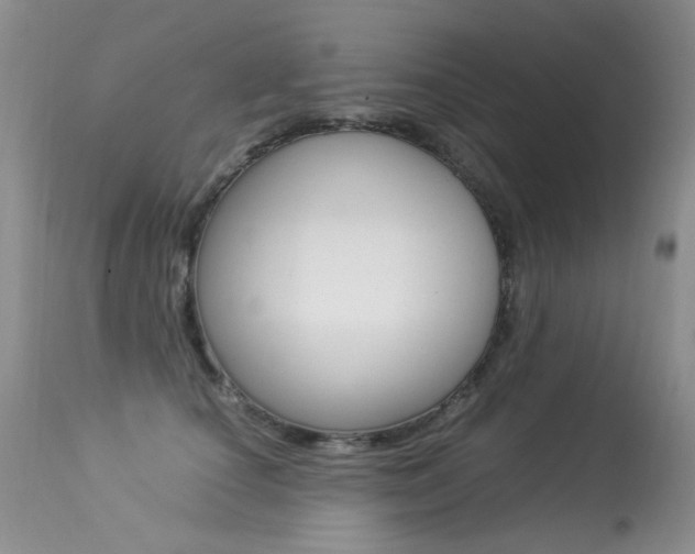 X0000113290660200909141006