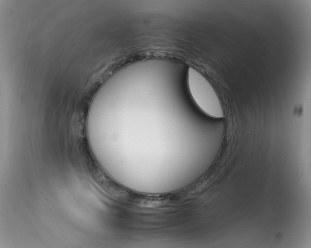 X0000113290661200909141006
