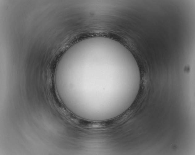 X0000113290662200909141006