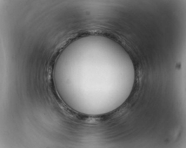 X0000113290664200909141006