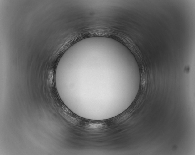 X0000113290669200909141006