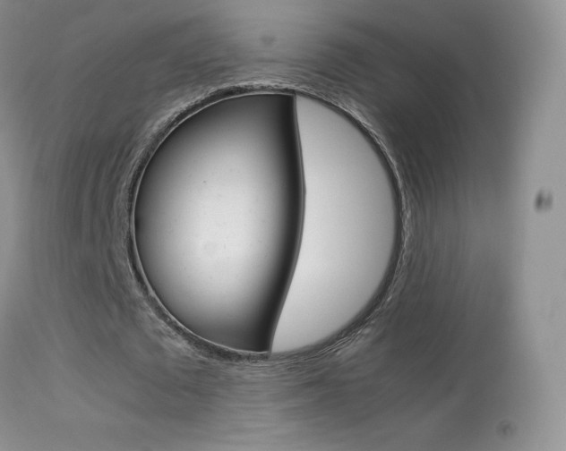 X0000113290673200909141005