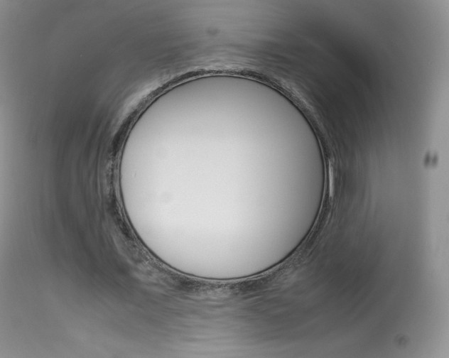 X0000113290675200909141005