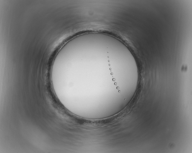 X0000113290679200909141005
