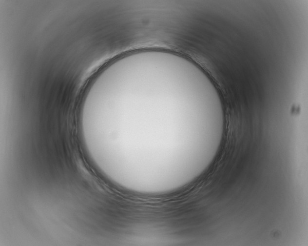 X0000113290680200909141005