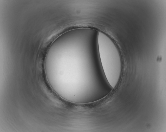 X0000113290681200909141005