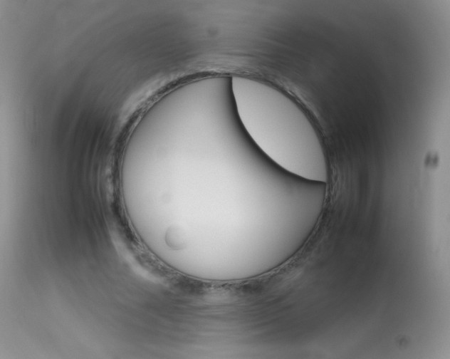 X0000113290682200909141005