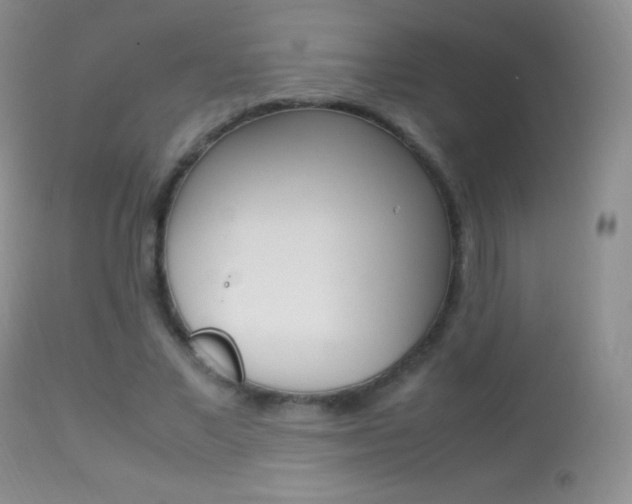 X0000113290685200909141005