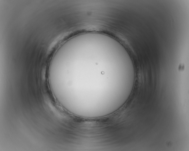 X0000113290686200909141005