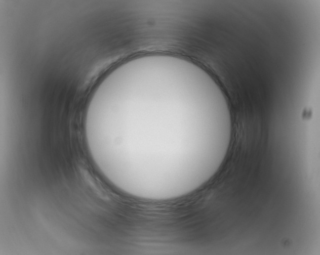 X0000113290688200909141005