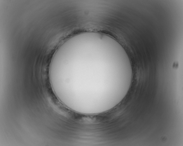 X0000113290690200909141005
