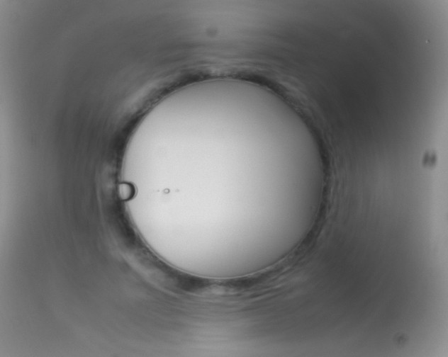 X0000113290691200909141005