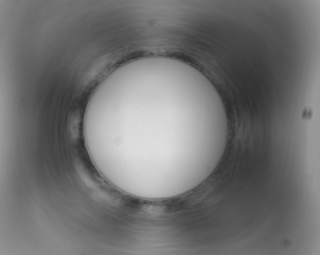 X0000113290694200909141005