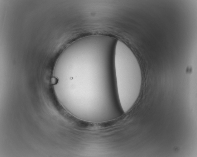 X0000113290695200909141005