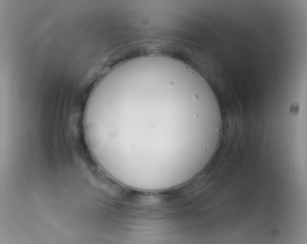 X0000113290698200909141005