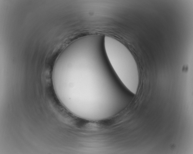 X0000113290699200909141005