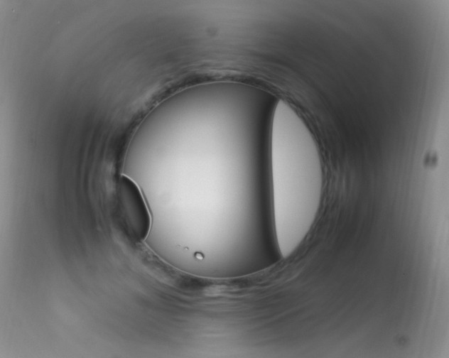 X0000113290700200909141005