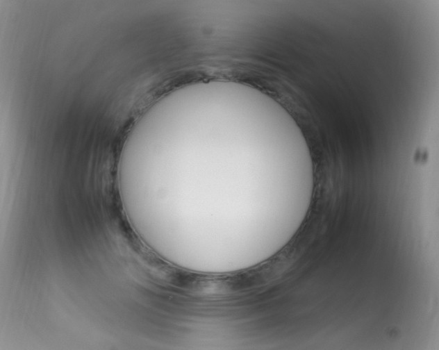 X0000113290702200909141005