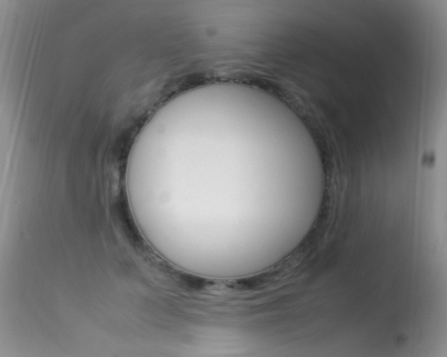 X0000113290703200909141005