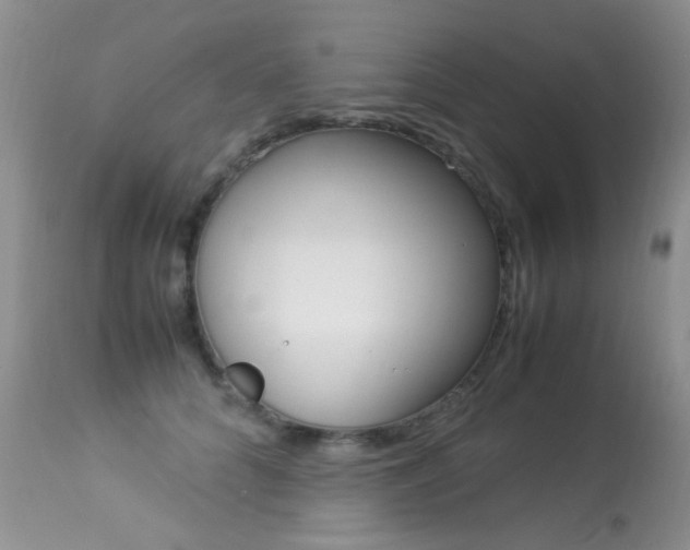 X0000113290704200909141005