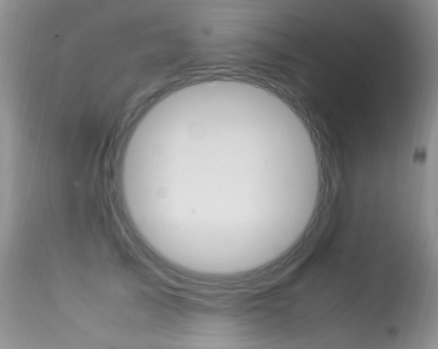 X0000113290705200909141005