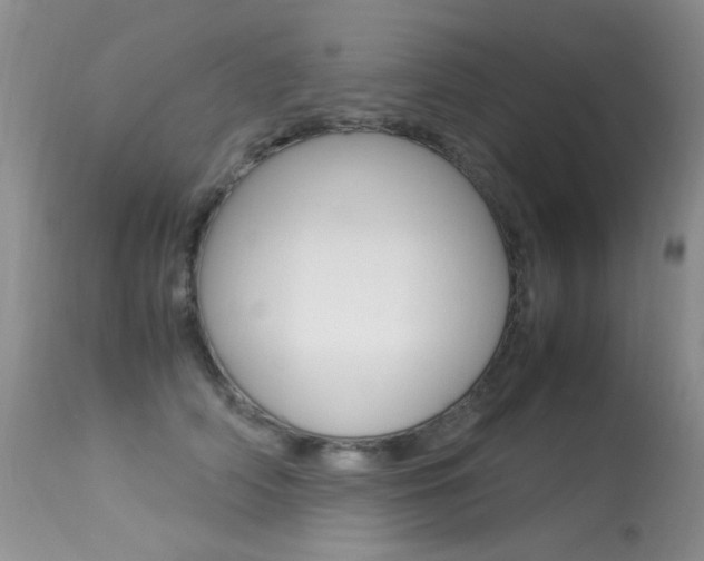X0000113290706200909141005