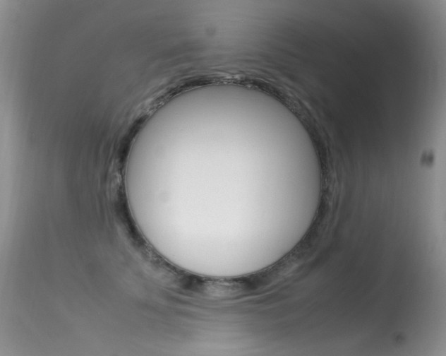 X0000113290707200909141005