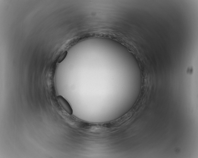 X0000113290708200909141005