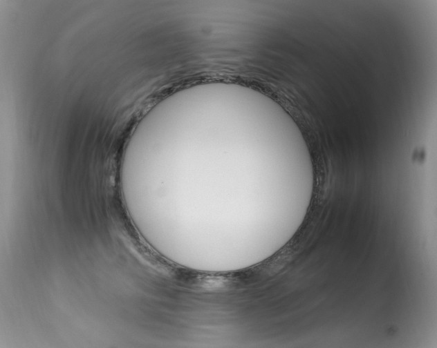 X0000113290710200909141005