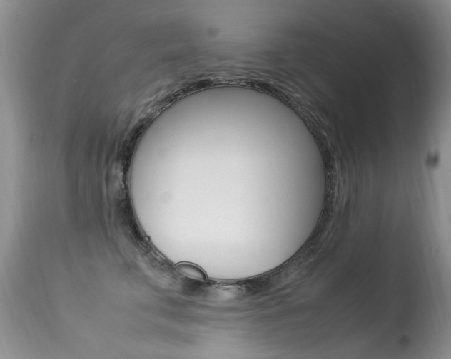 X0000113290711200909141005