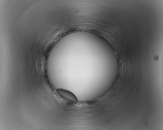 X0000113290712200909141005