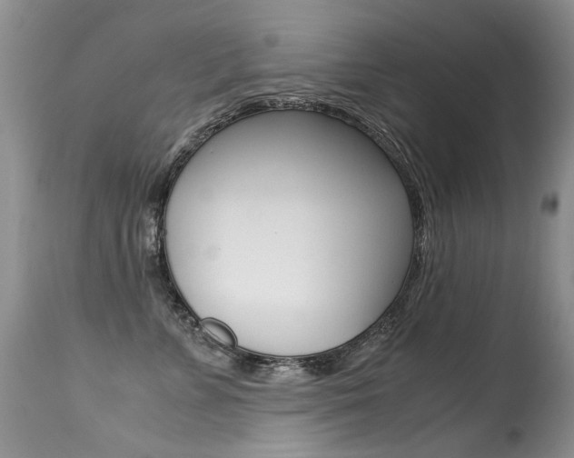X0000113290715200909141005