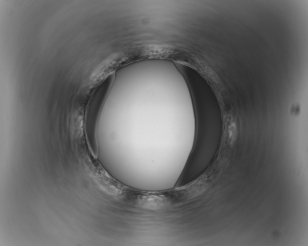 X0000113290716200909141005