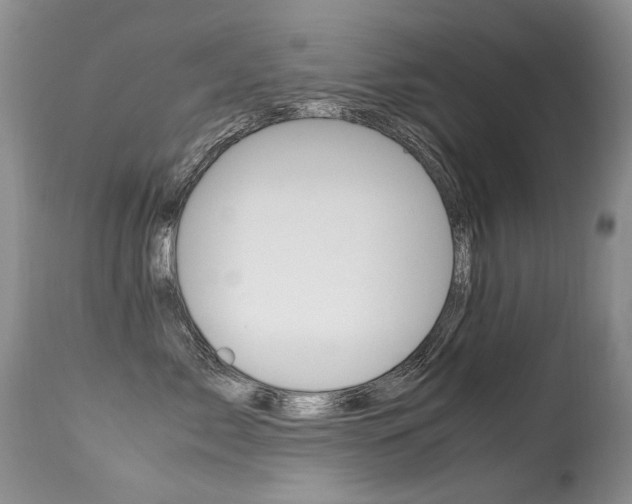 X0000113290717200909141005