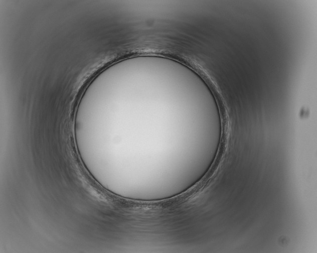 X0000113290721200909141004