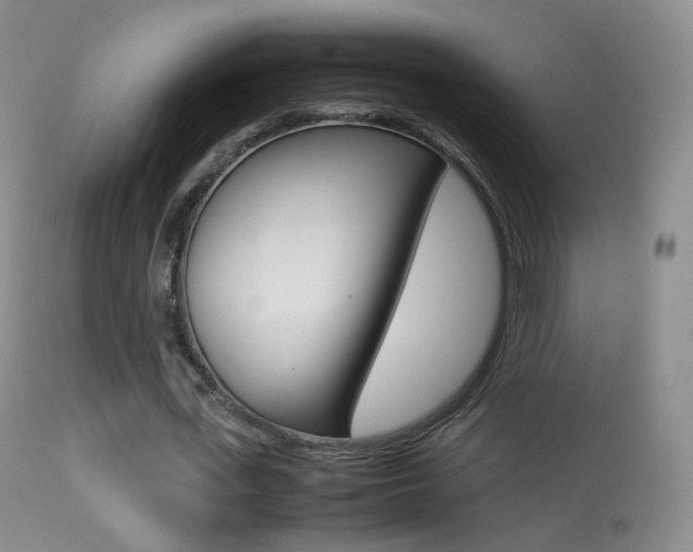 X0000113290723200909141004