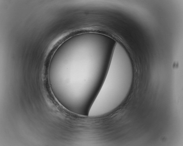 X0000113290724200909141004