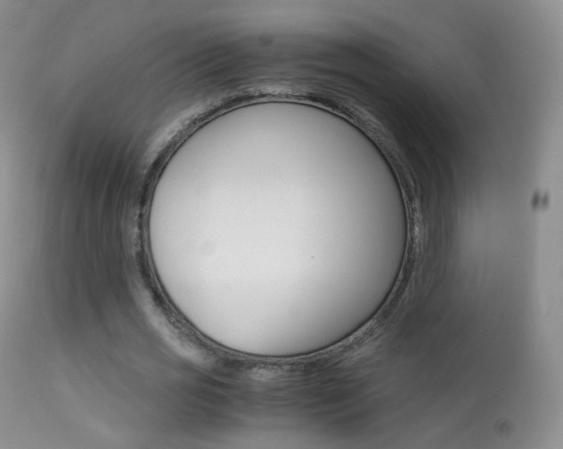 X0000113290725200909141004