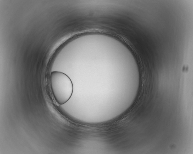 X0000113290726200909141004