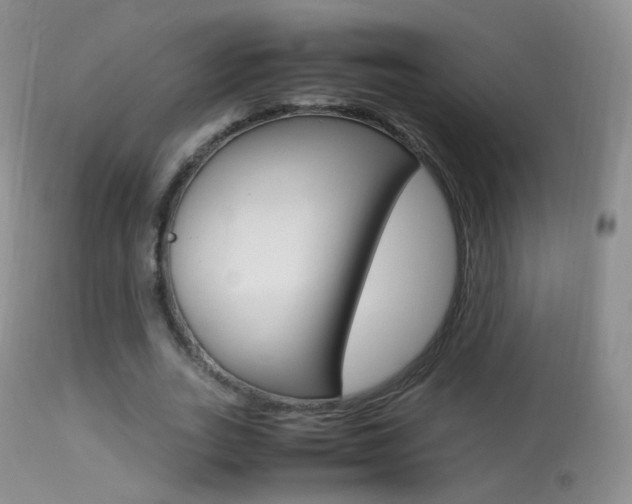X0000113290727200909141004