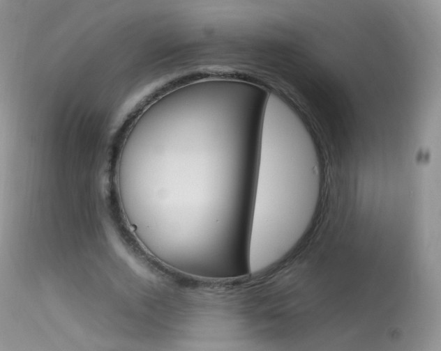 X0000113290728200909141004