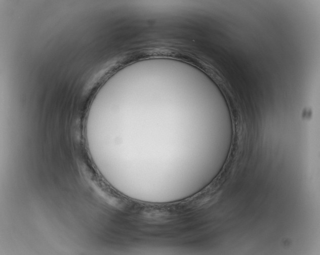 X0000113290729200909141004