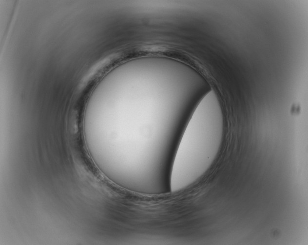 X0000113290731200909141004