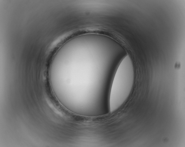 X0000113290732200909141004