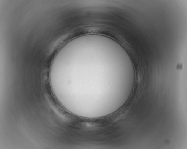 X0000113290733200909141004