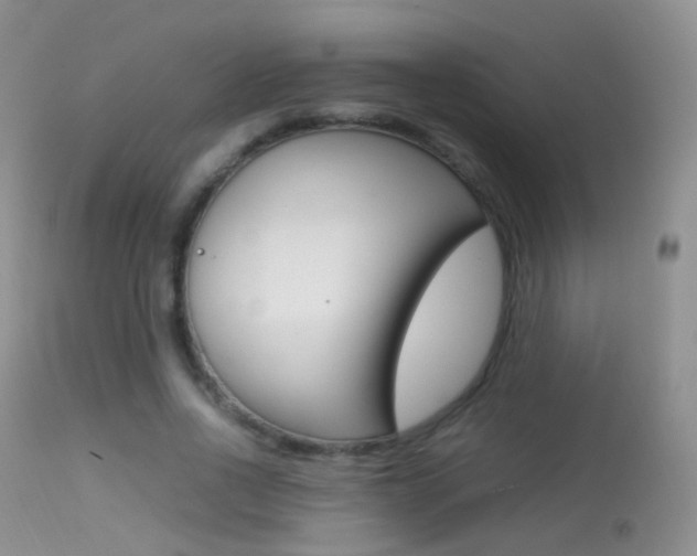 X0000113290734200909141004